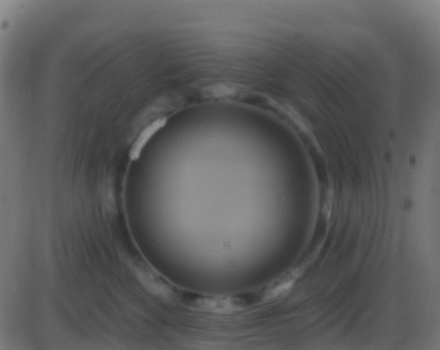 X0000086220524200704051243