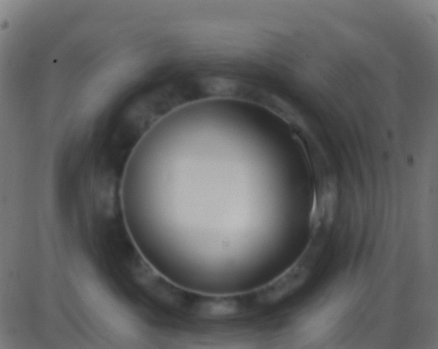 X0000086220525200704051243