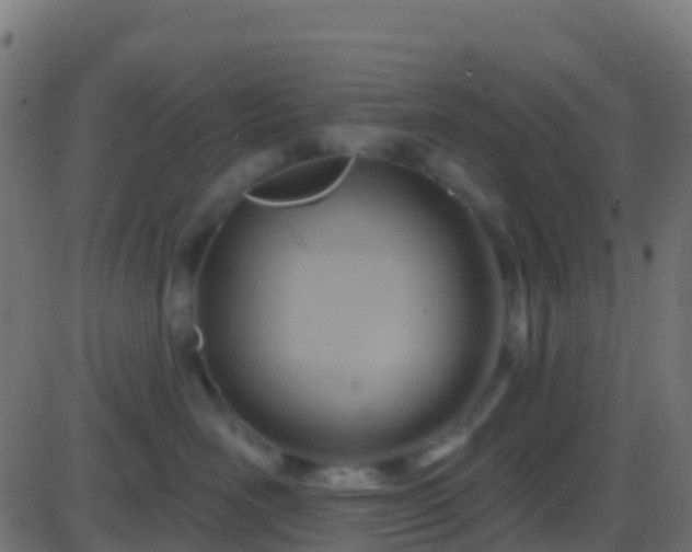 X0000086220526200704051243