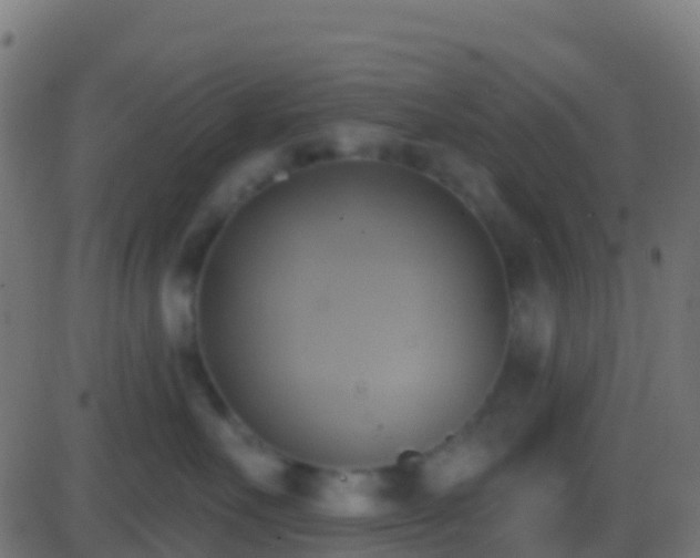 X0000086220527200704051243