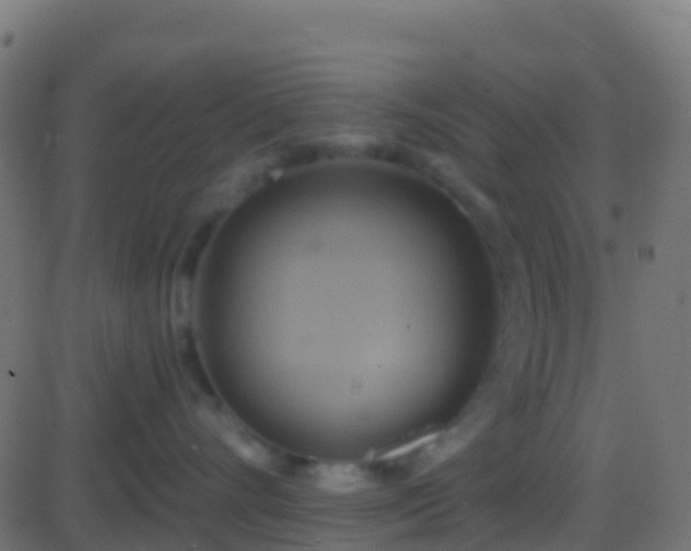 X0000086220528200704051243