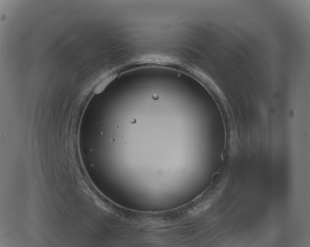 X0000086220529200704051242