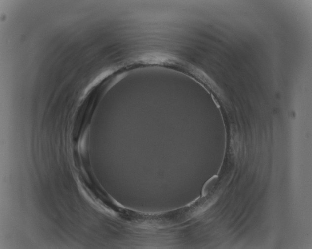 X0000086220530200704051242