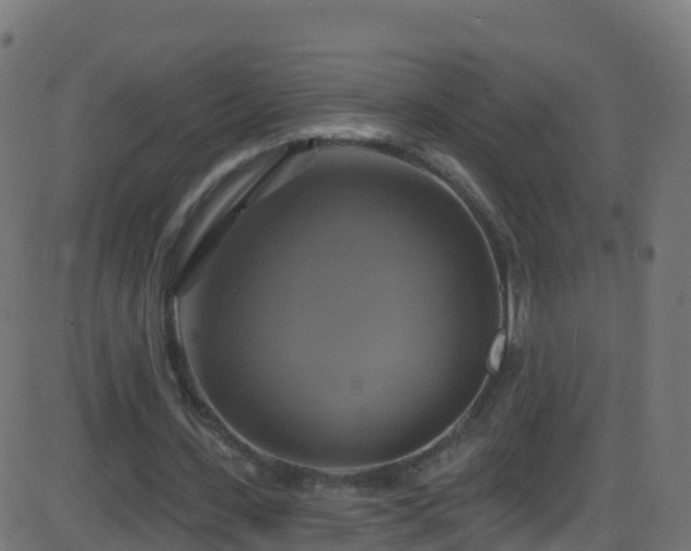 X0000086220531200704051243