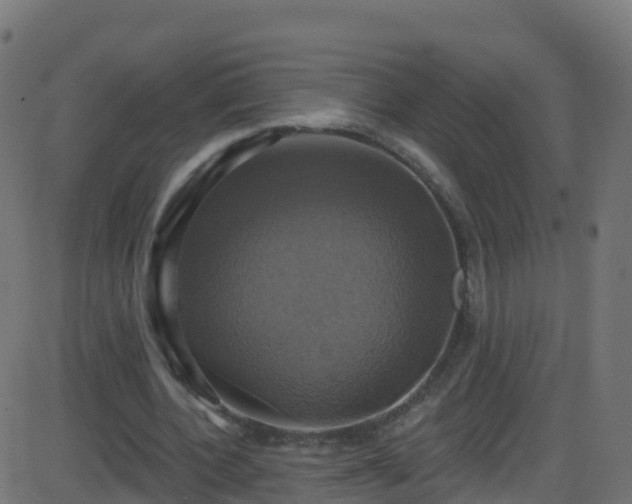 X0000086220532200704051243