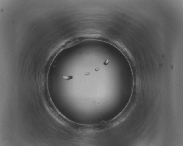 X0000086220533200704051243