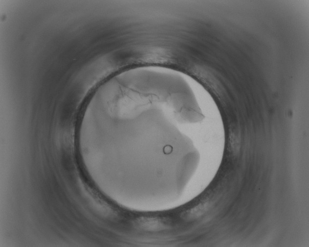 X0000086220534200704051243