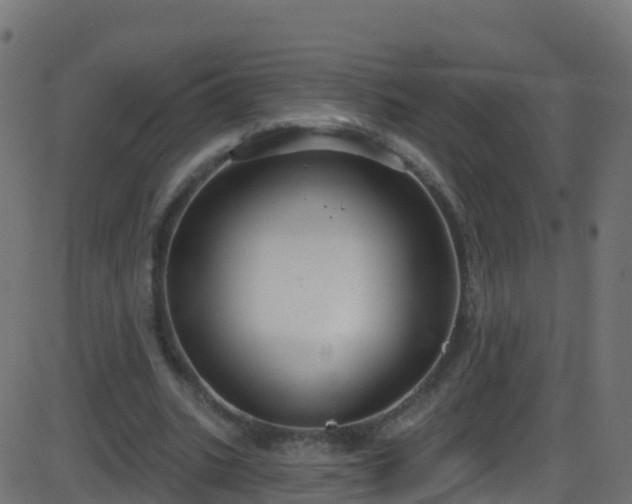 X0000086220535200704051243