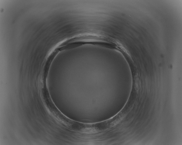 X0000086220536200704051243