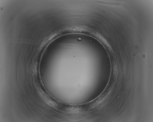 X0000086220537200704051243