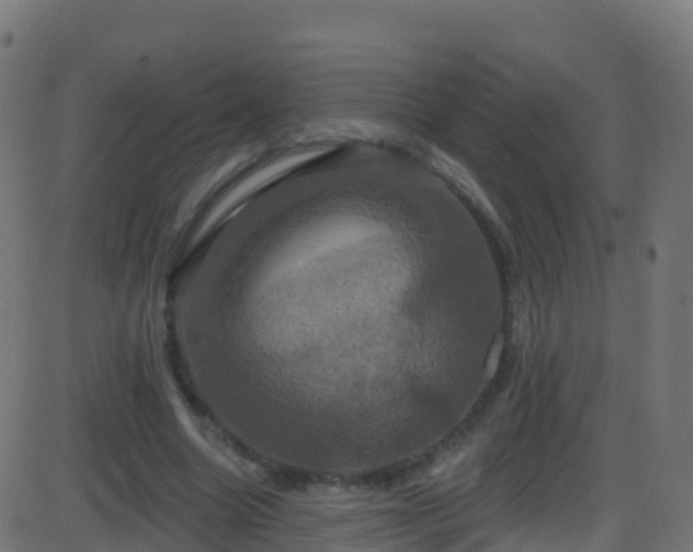 X0000086220538200704051243