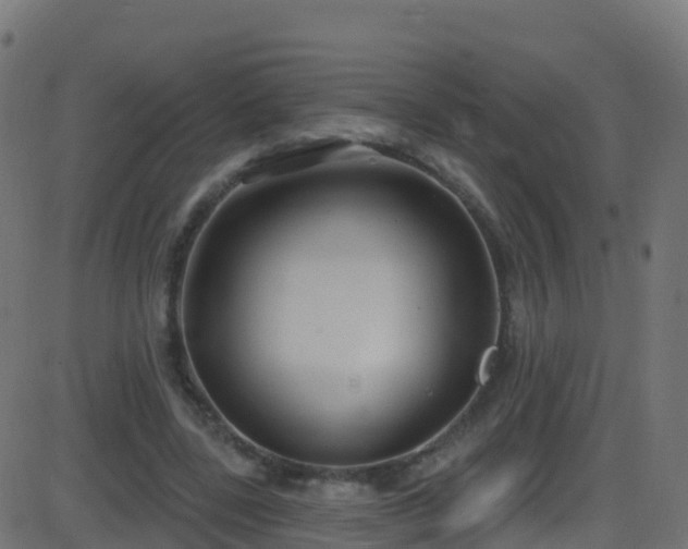 X0000086220539200704051243