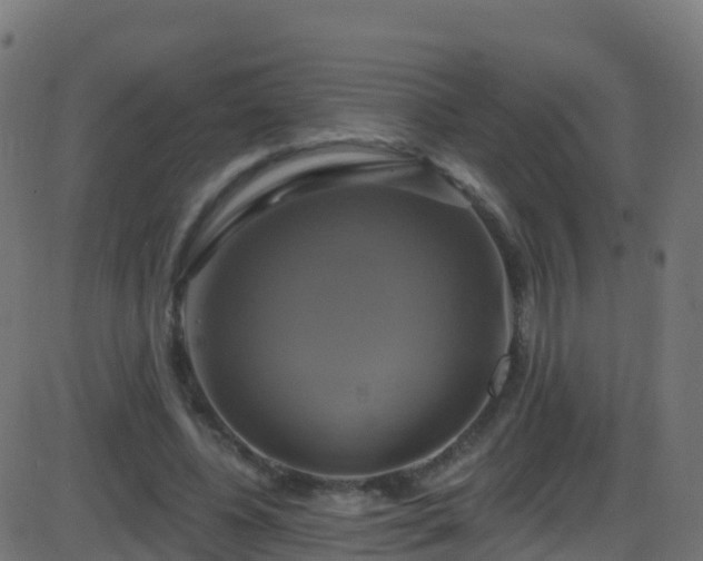 X0000086220540200704051243