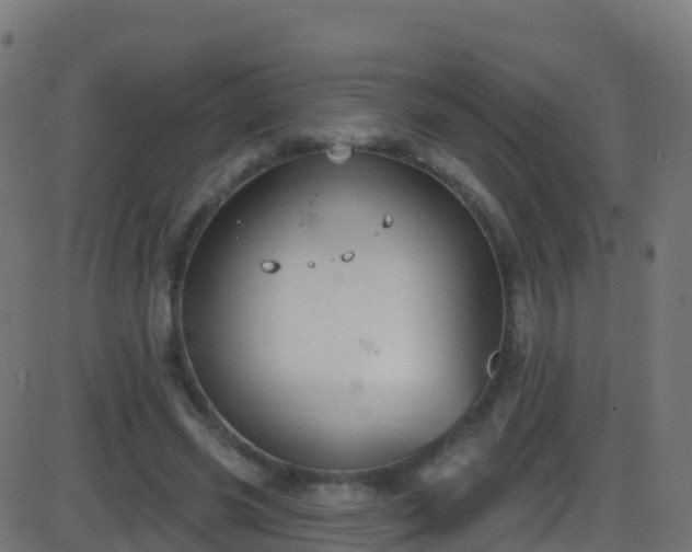 X0000086220541200704051243