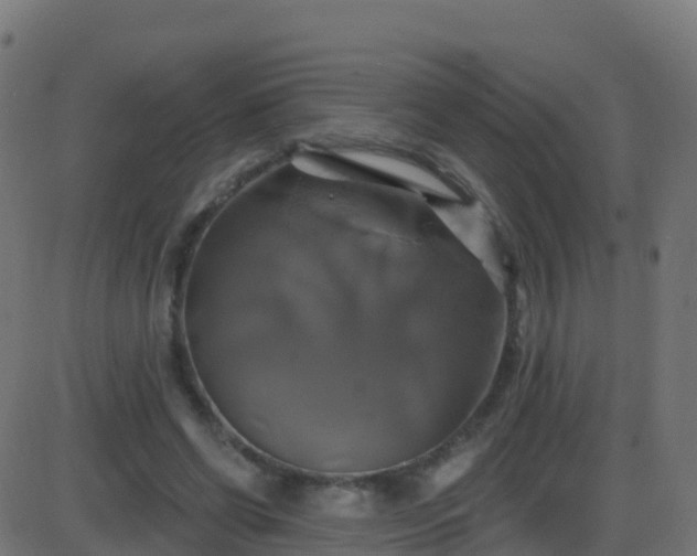 X0000086220542200704051243