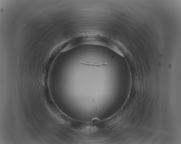 X0000086220543200704051243