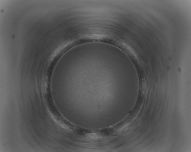 X0000086220544200704051243