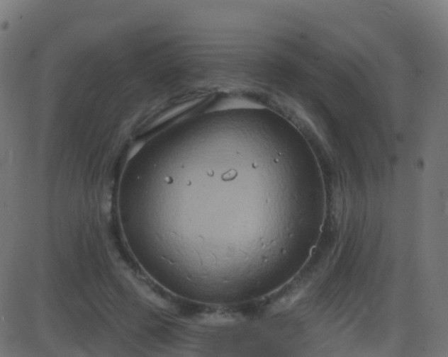 X0000086220545200704051243