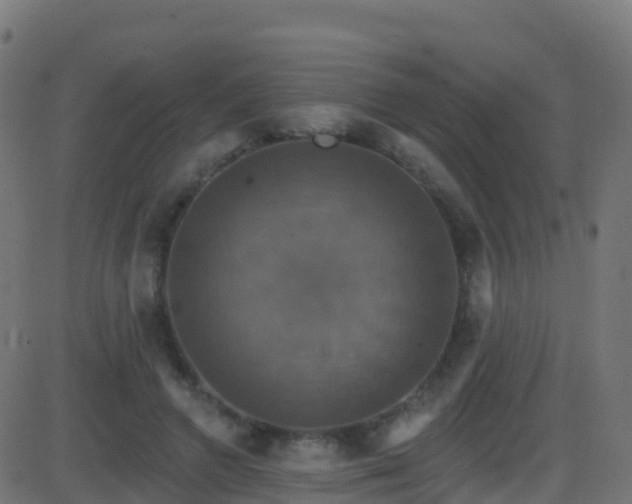 X0000086220546200704051243