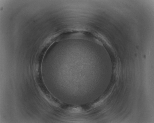 X0000086220548200704051243