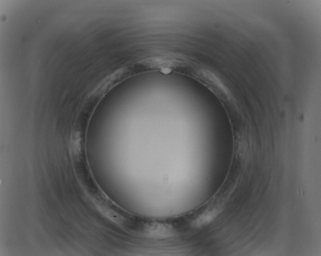 X0000086220549200704051243