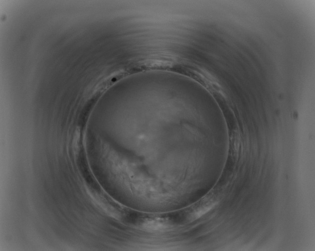 X0000086220550200704051243