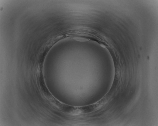 X0000086220551200704051243