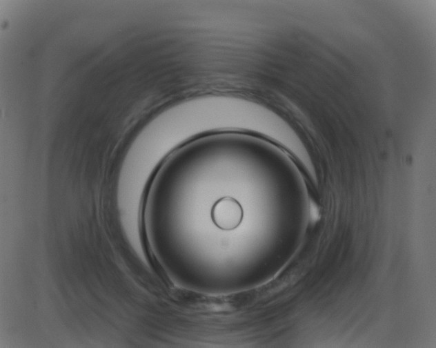 X0000086220552200704051243