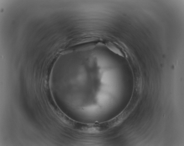 X0000086220553200704051243