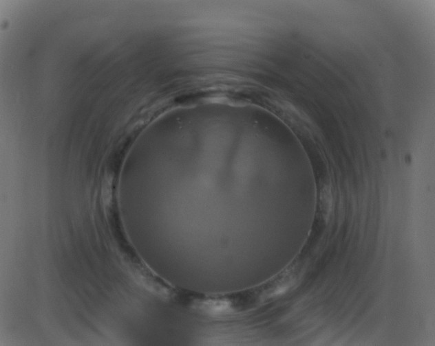 X0000086220554200704051243