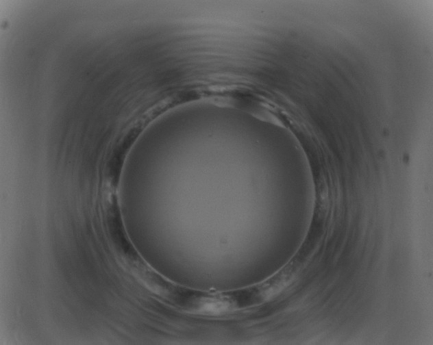 X0000086220555200704051243