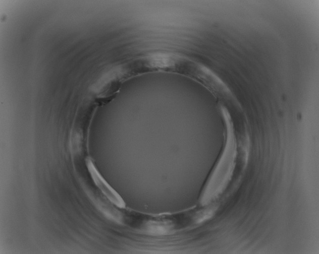 X0000086220556200704051243