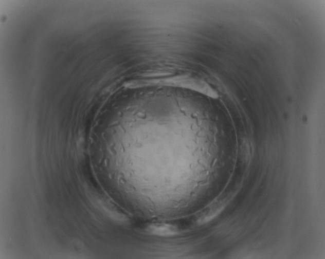 X0000086220557200704051243