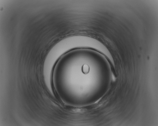 X0000086220558200704051243