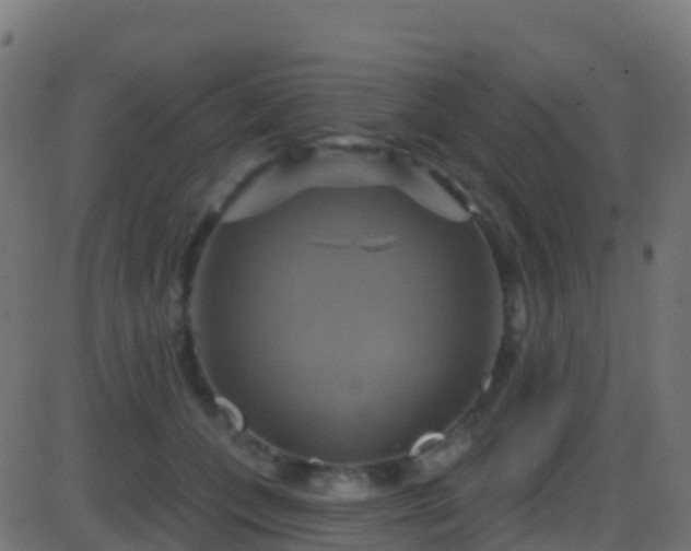 X0000086220559200704051243