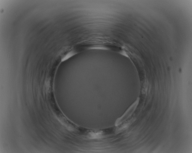 X0000086220560200704051243