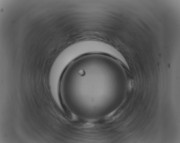 X0000086220562200704051243