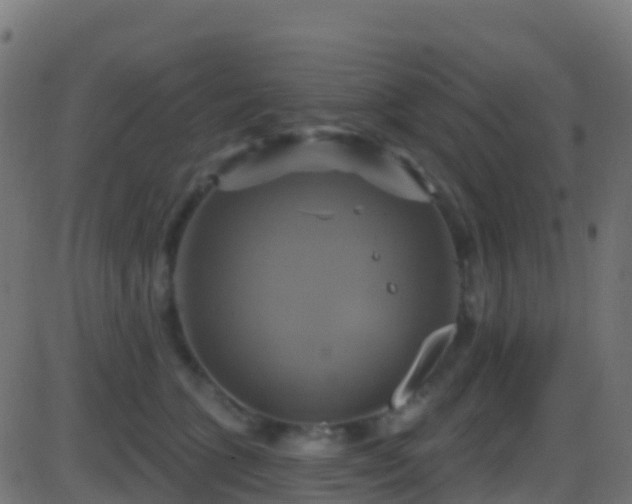 X0000086220563200704051243