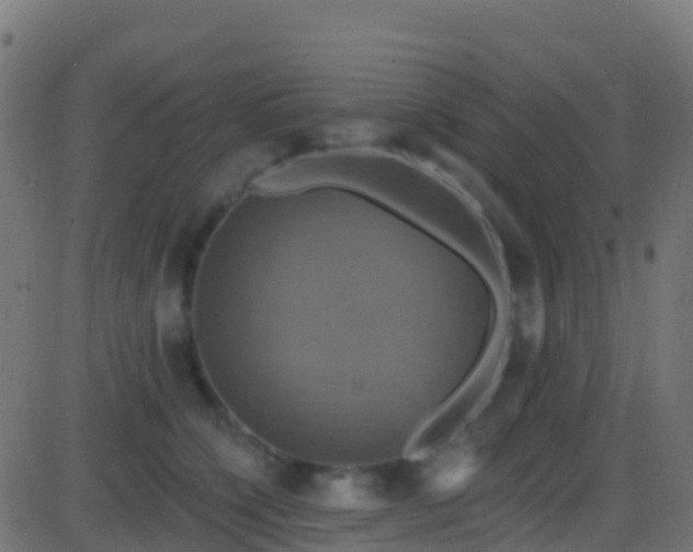 X0000086220564200704051243