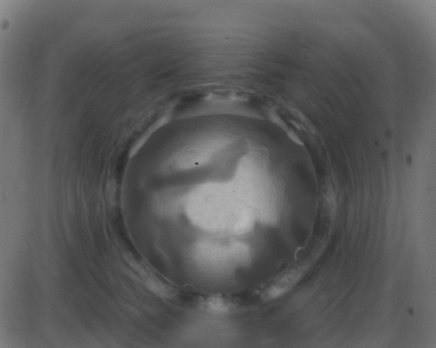 X0000086220565200704051243