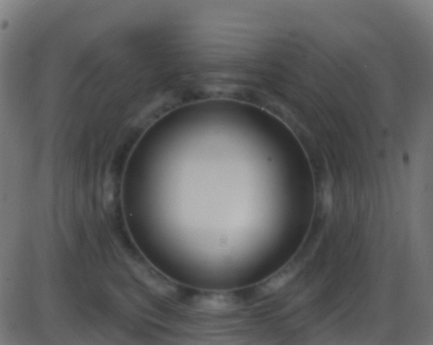 X0000086220567200704051243