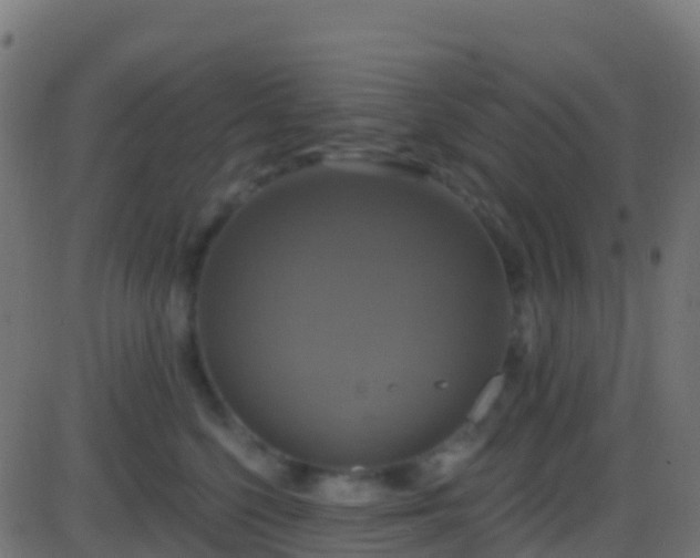 X0000086220568200704051243