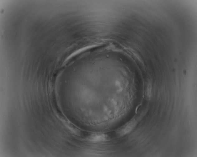 X0000086220569200704051243