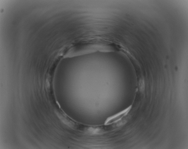 X0000086220570200704051243