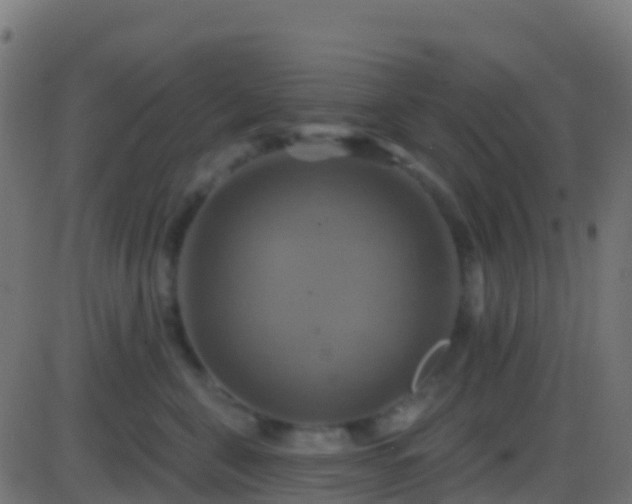 X0000086220571200704051243