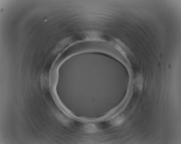 X0000086220572200704051243