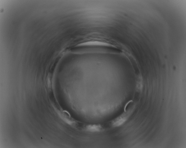 X0000086220573200704051243