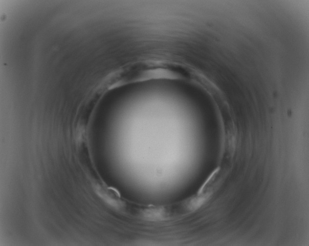 X0000086220574200704051243