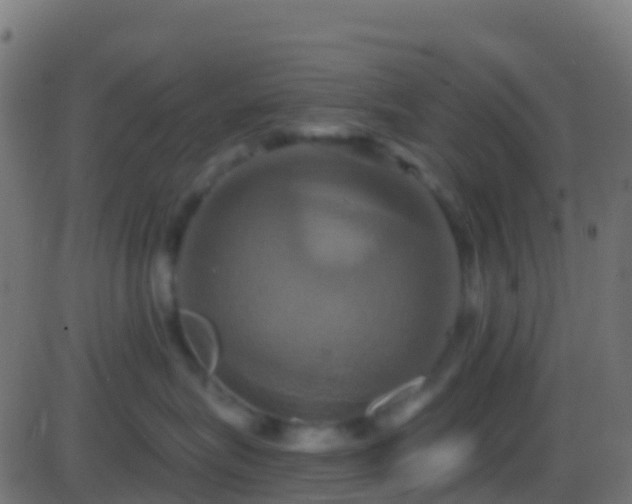 X0000086220575200704051243