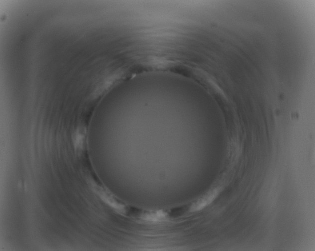 X0000086220576200704051243